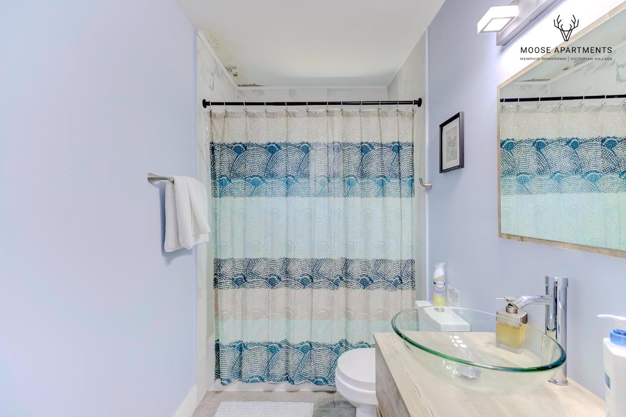 The Moose #3 - Modern Luxe Studio With Free Gated Parking & Wifi ممفيس المظهر الخارجي الصورة